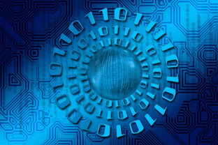 开云真人-关键一战：谁能赢得晋级的最后一搏？，关键一战 同义词